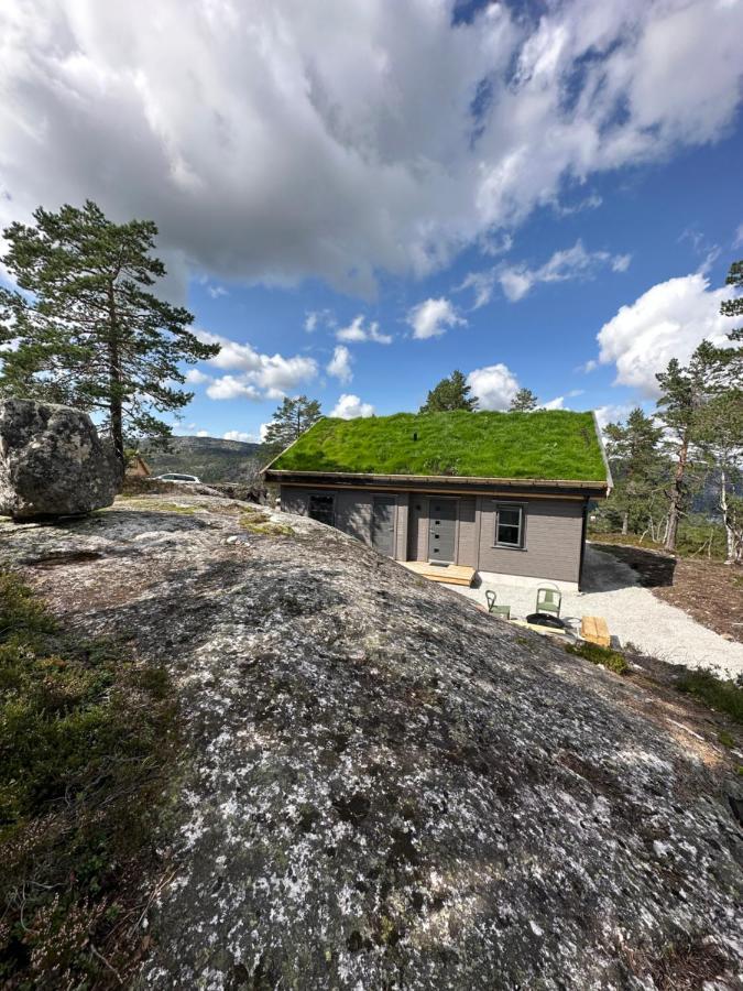 Modern Northern Lights Cabin Drangedal Exterior photo