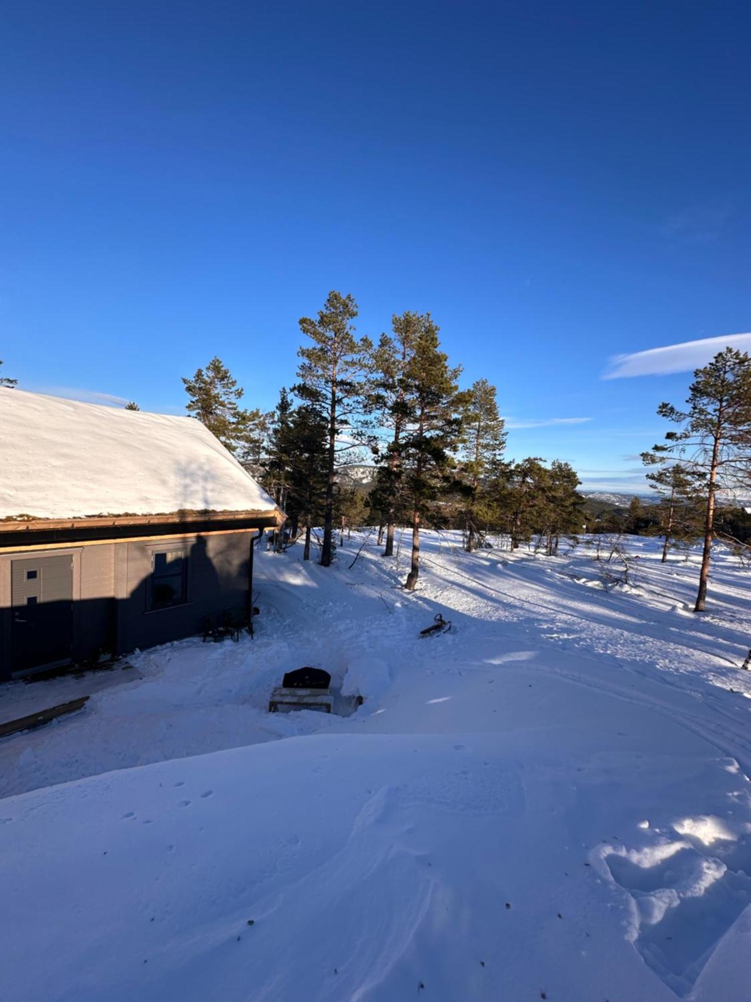 Modern Northern Lights Cabin Drangedal Exterior photo